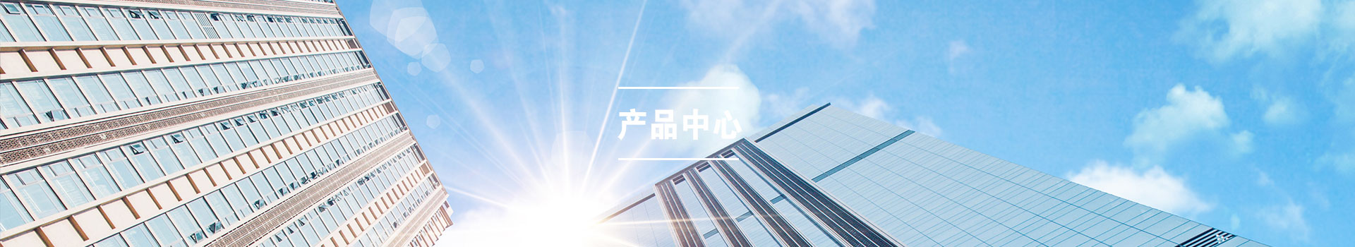 服务项目